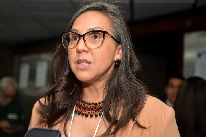 Representante do Ministério da Educação (MEC), Silvana Canário