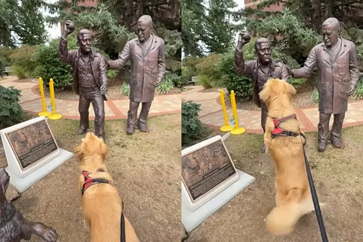 Leo,  protagonizou uma cena fofa e engraçada durante um passeio no parque