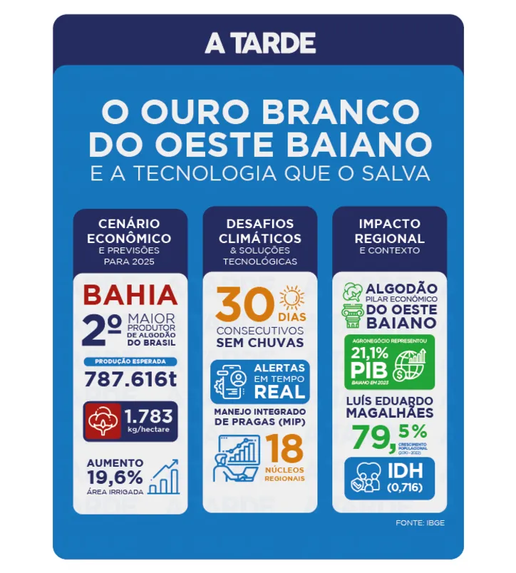 Imagem ilustrativa da imagem O ouro branco do oeste baiano e a tecnologia que o salva
