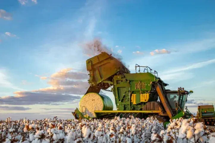 Imagem ilustrativa da imagem O ouro branco do oeste baiano e a tecnologia que o salva