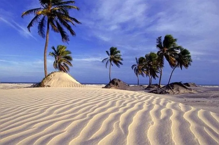Mangue Seco