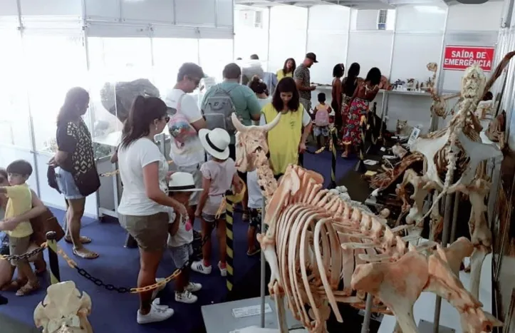 Imagem ilustrativa da imagem Fenagro 2025 terá lazer para a família com ingressos a partir de R$10