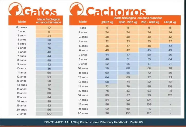 Tabela compara idade real de pets