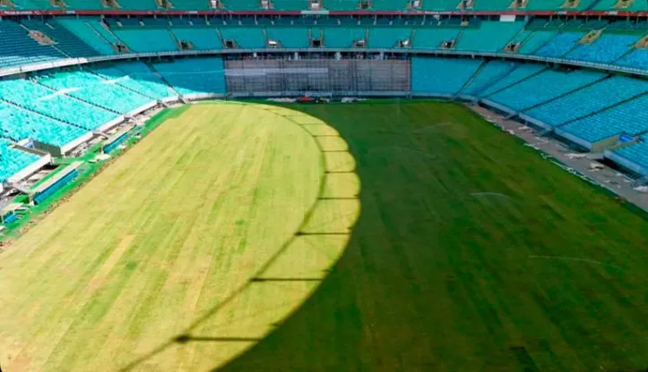 Novo gramado da Arena Fonte Nova