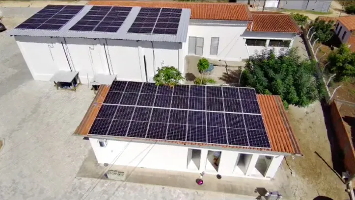 Imagem ilustrativa da imagem Cooperativa baiana apresenta polpa de fruta sustentável da Caatinga