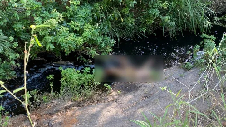 Corpo estava em área de mata