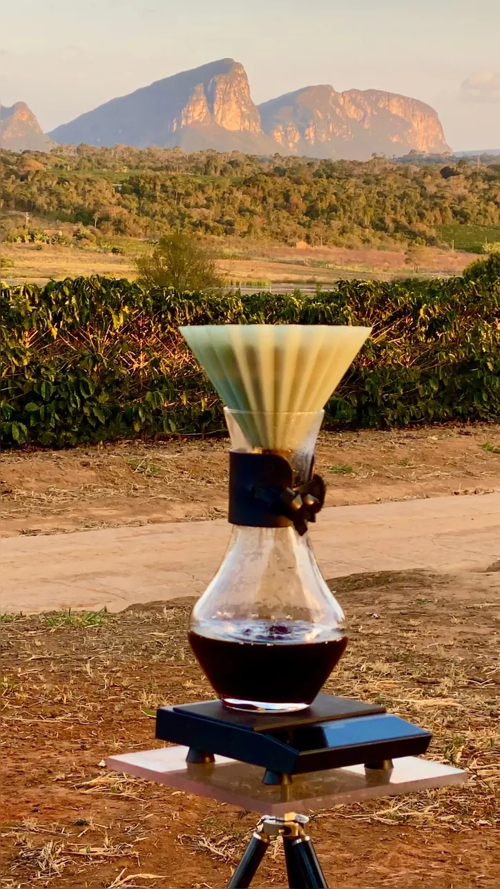 Excelência e paisagem: a fazenda Agrocafé Igaraçu produz o grão premiado