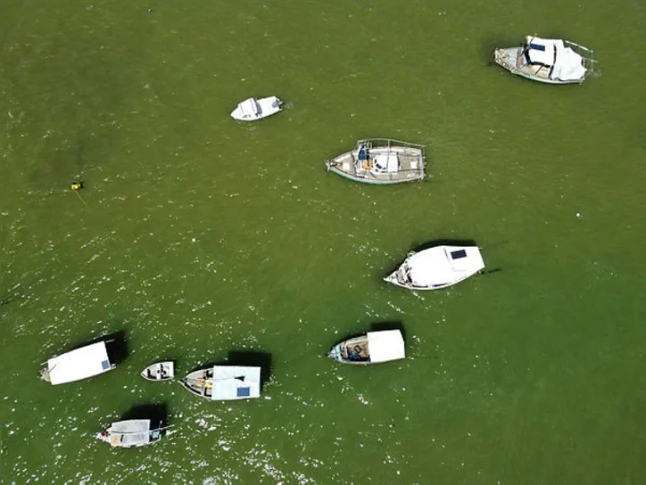 Imagem ilustrativa da imagem Do gratuito ao luxo: onde passar o Réveillon 2026 em Salvador e litoral