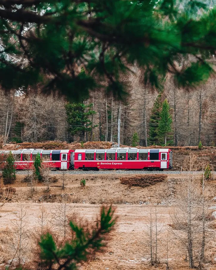 Imagem ilustrativa da imagem Essa viagem de trem entre a Suíça e a Itália é uma das mais lindas do mundo