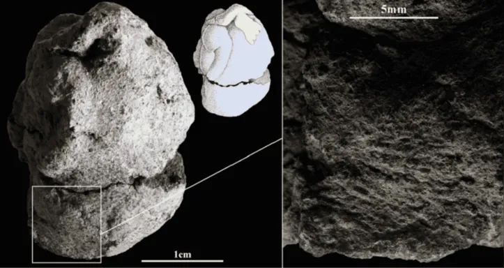 Imagem ilustrativa da imagem Estatueta pré-histórica revela cenas raras da vida espiritual antiga