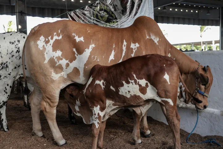 Feira Nacional da Agropecuária (FENAGRO) 33ª edição