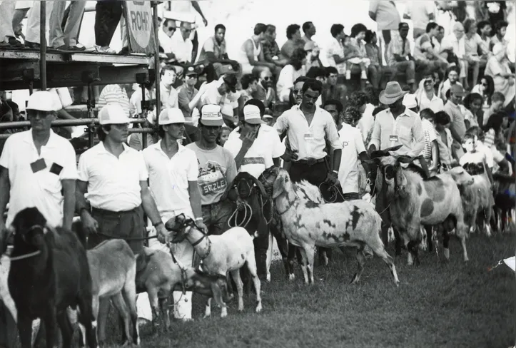 Imagem ilustrativa da imagem Fenagro em flashes: as curiosidades e a trajetória de 37 anos da feira