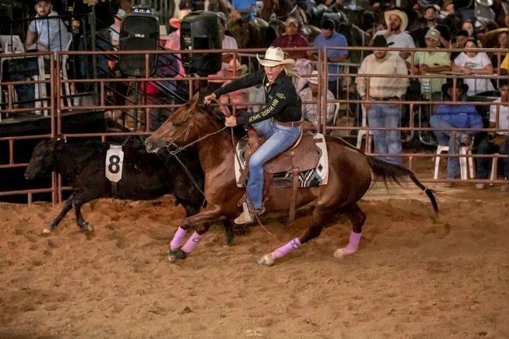 Imagem ilustrativa da imagem Fenagro em flashes: as curiosidades e a trajetória de 37 anos da feira