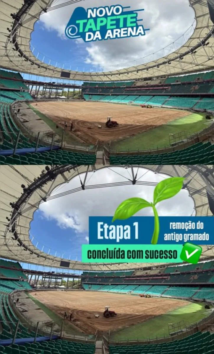 Imagem ilustrativa da imagem Fonte Nova remove antigo gramado e segue substituição; veja fotos