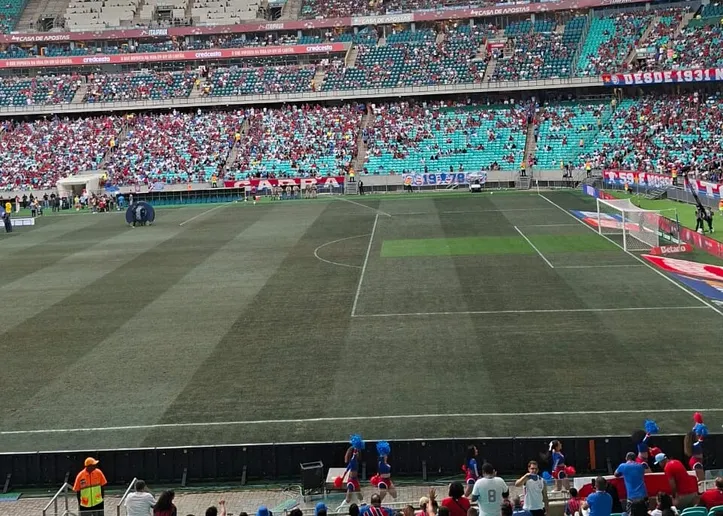 Gramado da Arena Fonte Nova