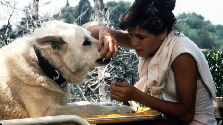 Imagem ilustrativa da imagem Hollywood errou feio: esses filmes racistas nunca deviam ter sido feitos