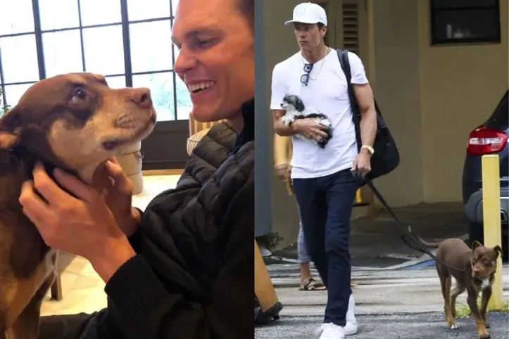 As duas cadelas de Tom Brady. A direita a que faleceu e a esquerda o clone