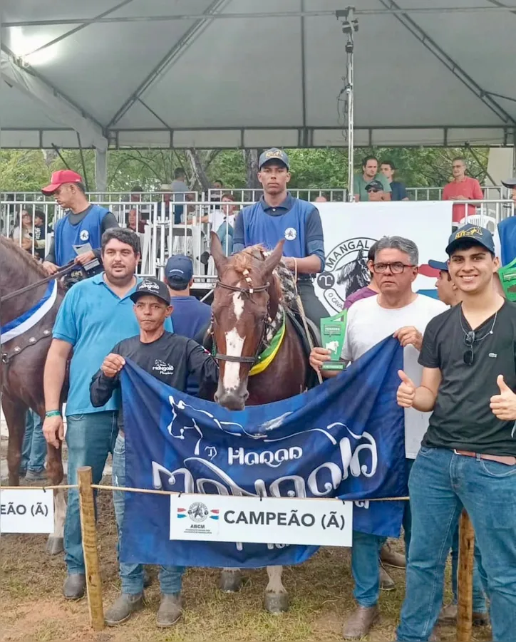 Império da Mangalô, Grande Campeão Cavalo Geral e de Marcha na Fenagro 2024