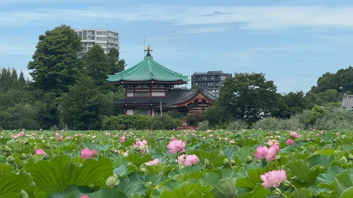 Imagem ilustrativa da imagem Maior cidade do mundo recebe cada vez mais turistas brasileiros; conheça