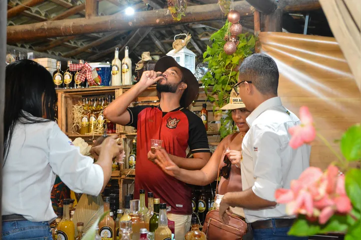 Degustação de cachaça