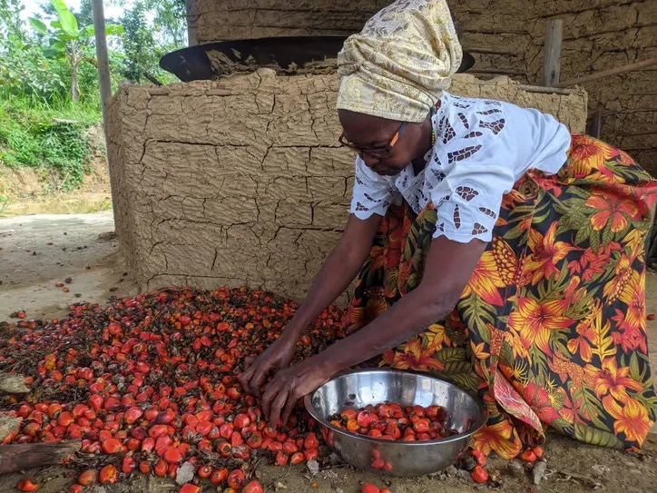 Imagem ilustrativa da imagem O turismo de terreiro que resgata saberes, história e comunidade
