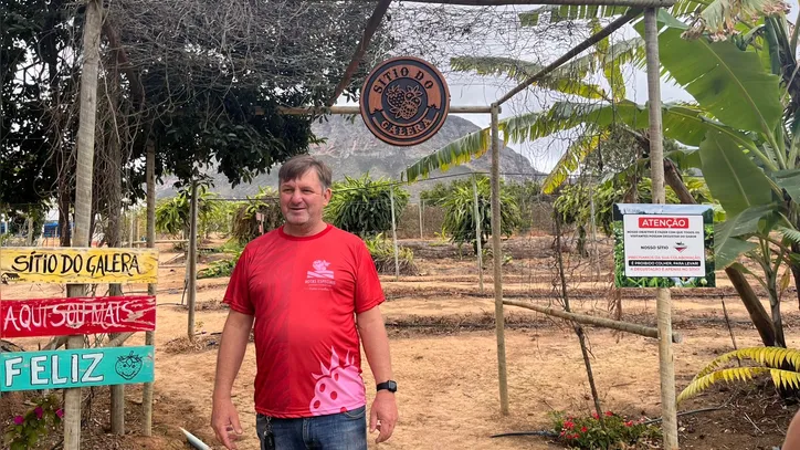 Imagem ilustrativa da imagem Pioneirismo: sítios impulsionam turismo com produção inovadora de frutas vermelhas