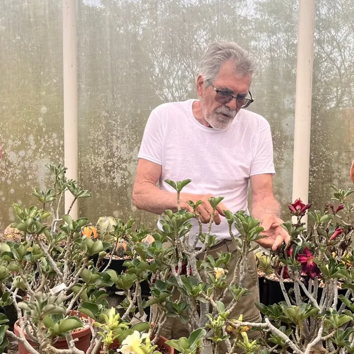 Júlio Villar dedica-se à criação da Rosa do Deserto