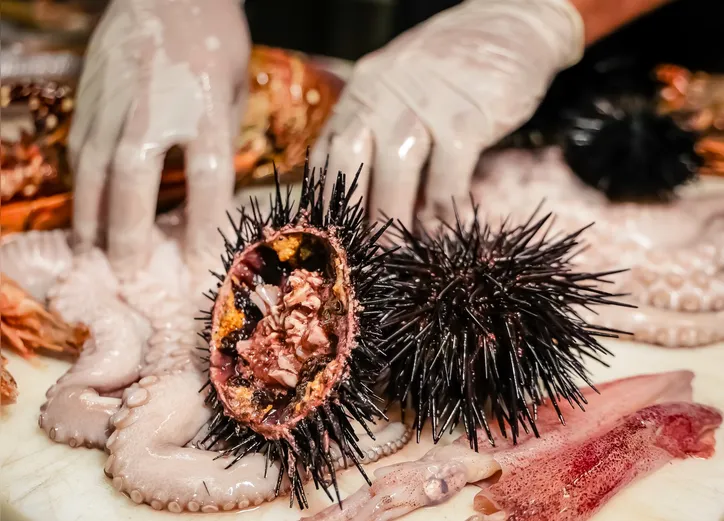 Imagem ilustrativa da imagem Sabor, vento e mar, a cozinha ittica de Paolo Alfonsi, do Mistura