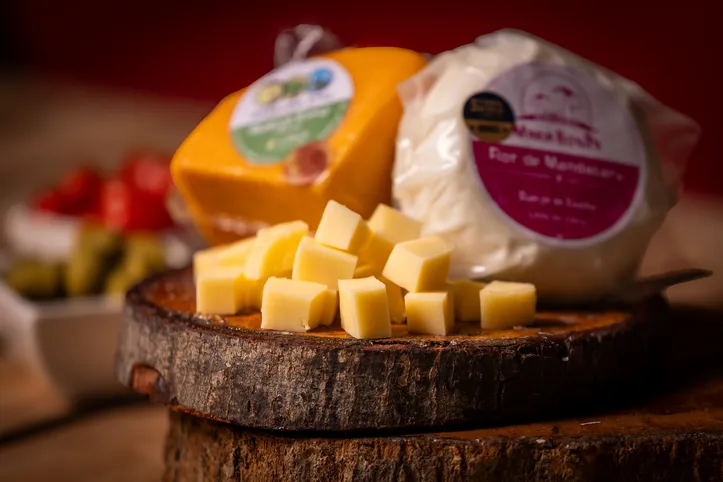 Imagem ilustrativa da imagem Salvador recebe o 1º Concurso de Queijos da Bahia nesta quarta-feira