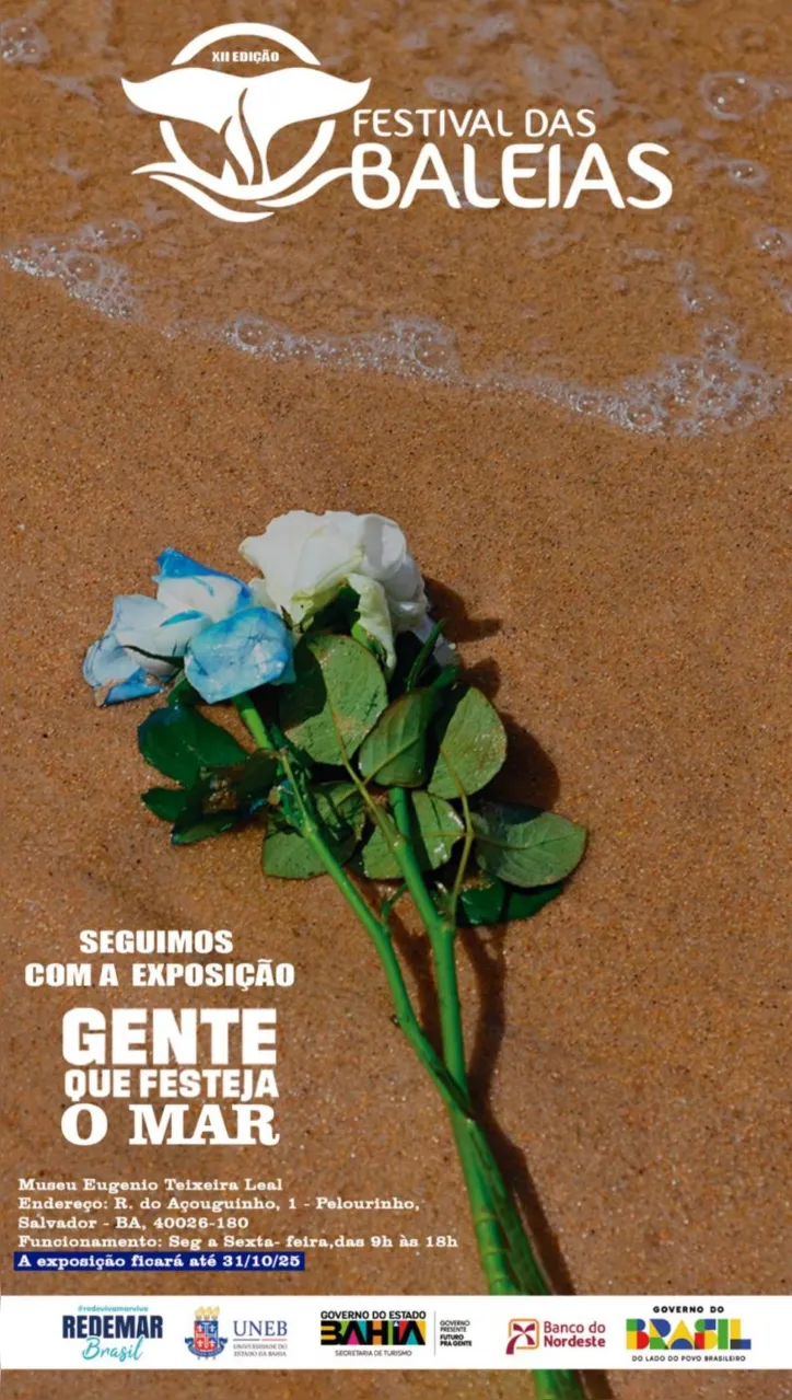 Imagem ilustrativa da imagem Salvador reforça papel central na conservação marinha durante a III Conferência Oceânica