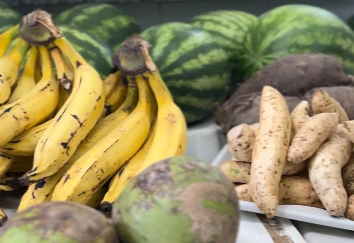 Alimentação da agricultura familiar