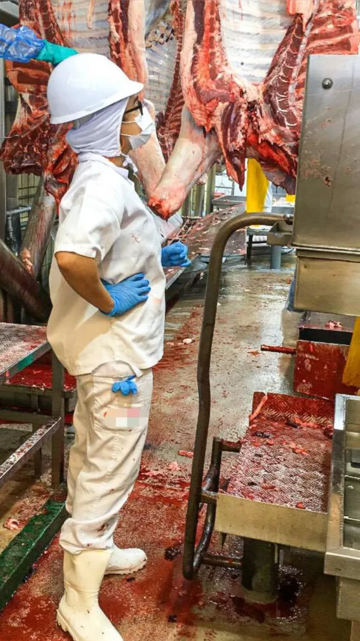 Zootecnista Daniela Cotrin