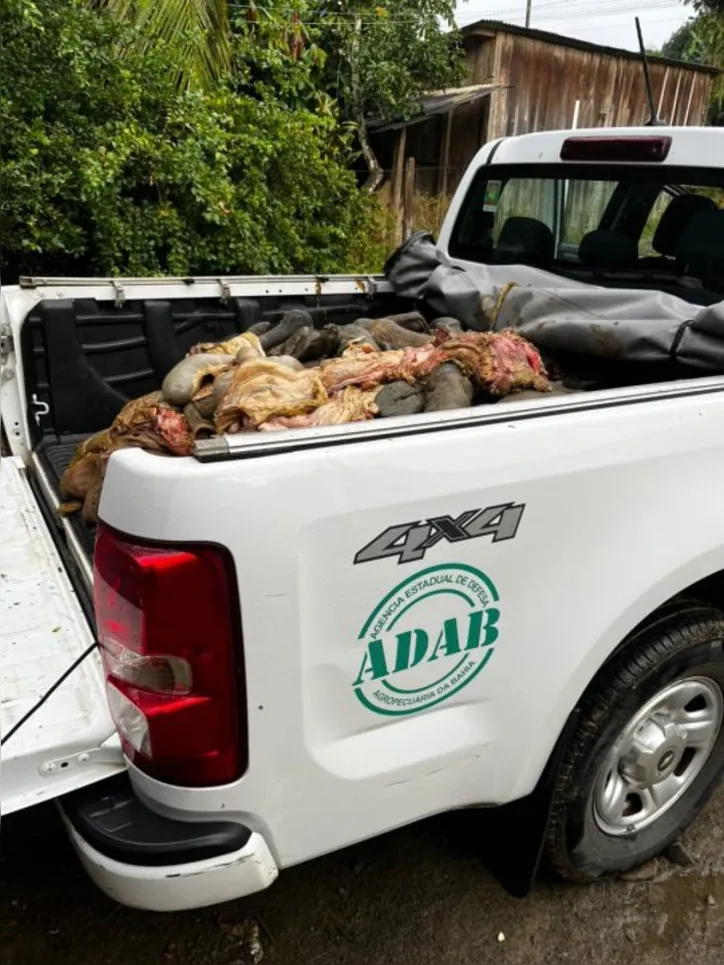 Apreensão de carnes irregulares