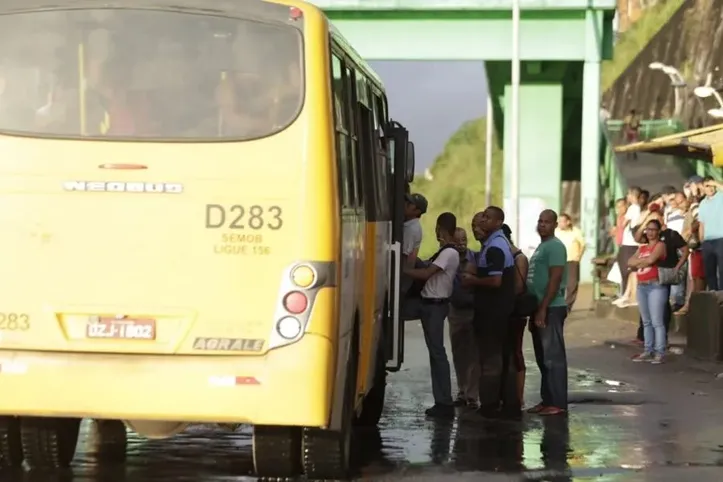 Os ônibus amarelinhos (STEC)