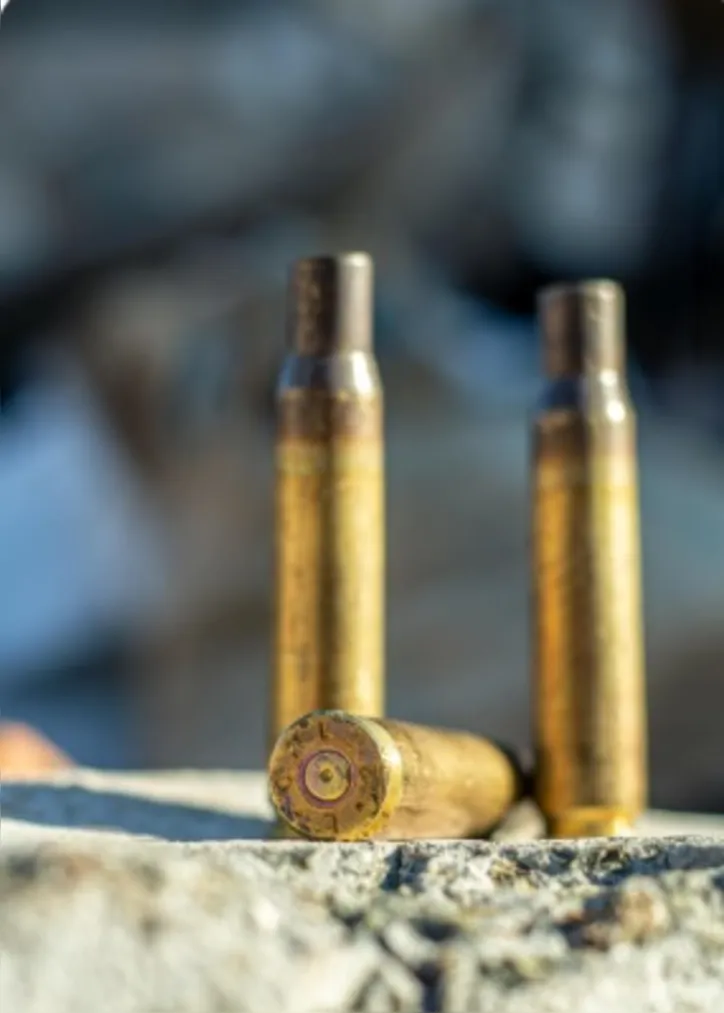 Imagem ilustrativa da imagem Tiroteios caem 39% em Salvador e RMS, mas violência policial persiste, diz instituto