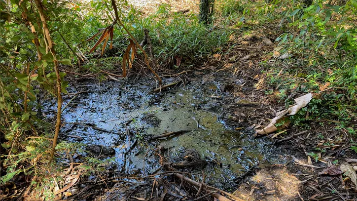 A contaminação é evidente na "água" que mina no quintal de Carlos Cardoso.
