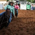 A pista é delas! Mulheres e crianças brilham no Ranch Sorting imagem