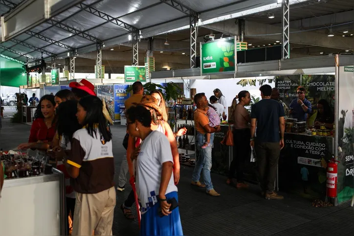 Imagem ilustrativa da imagem 5 cidades baianas que você precisa conhecer antes do ano acabar