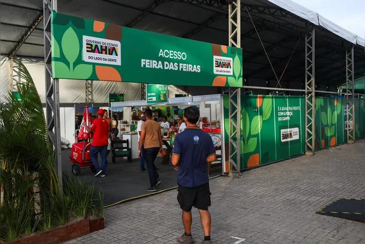 Imagem ilustrativa da imagem 5 cidades baianas que você precisa conhecer antes do ano acabar