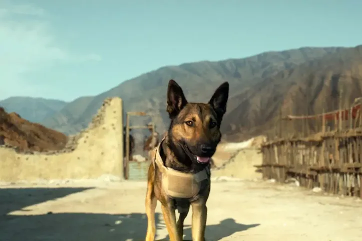 Cena de Max: O Cão Herói