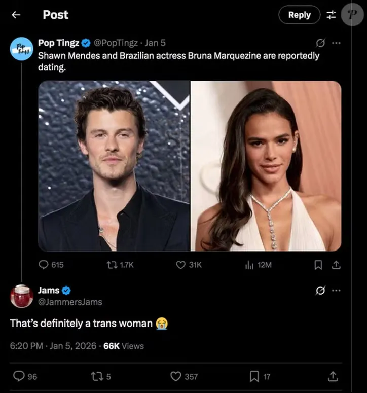 Comentários tranfóbico do homem no X