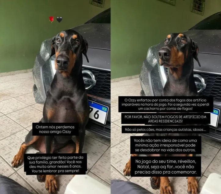 Post de cantor sobre a morte do animal