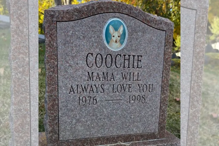 Lápide onde está enterrado Coochie, um cachorrinho que viveu entre 1976 e 1998
