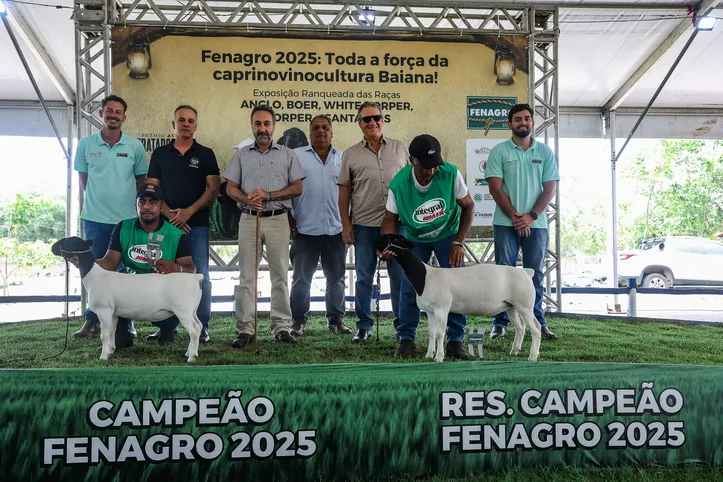 Imagem ilustrativa da imagem Crianças fazem fila para ver cabritos e cordeiros na Fenagro: entenda por quê