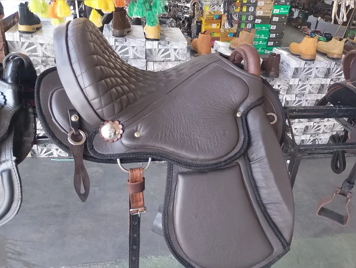 Imagem ilustrativa da imagem Da vaquejada ao passeio: venda de acessórios de equitação movimenta Fenagro