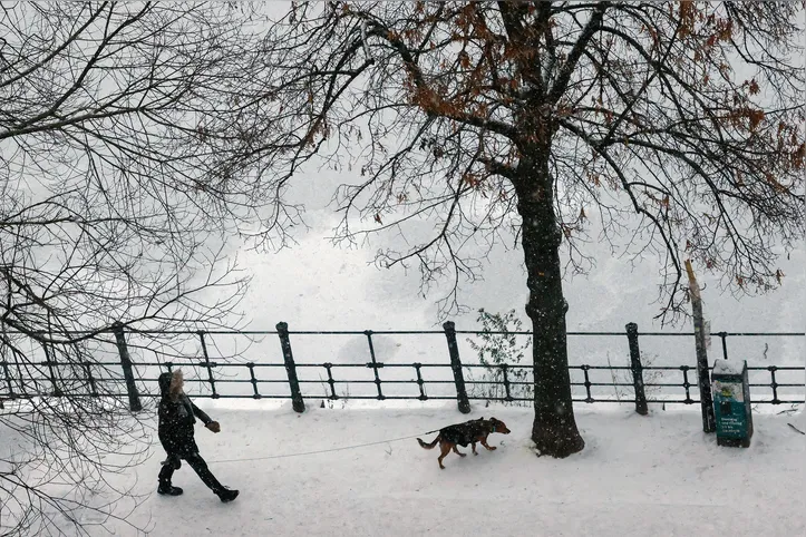 Um pedestre passeia com seu cachorro às margens do canal Landwehr, no bairro de Kreuzberg, em Berlim (Alemanha)