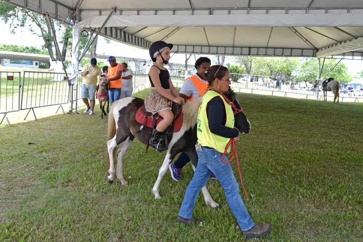 Na foto, crianças passeando nos poneis durante Fenagro