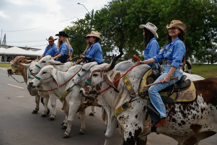 Imagem ilustrativa da imagem Histórico: Fenagro 2025 movimenta mais de R$ 120 milhões em Salvador