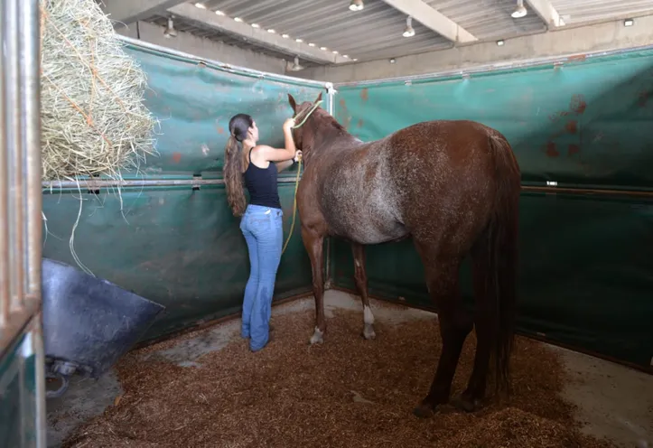 Animais na Fenagro 2025