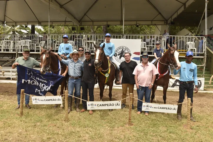 Imagem ilustrativa da imagem Fenagro 2025: jurados testam marcha e desempenho dos melhores mangalargas do país